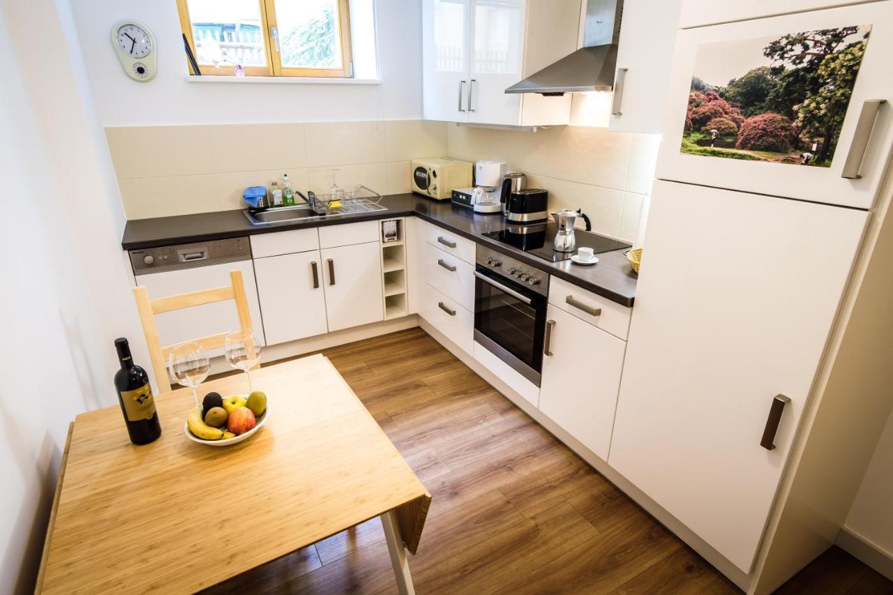 Wunderschoene Wohnung In Sanierter Villa! Incl Wifi 드레스덴 외부 사진